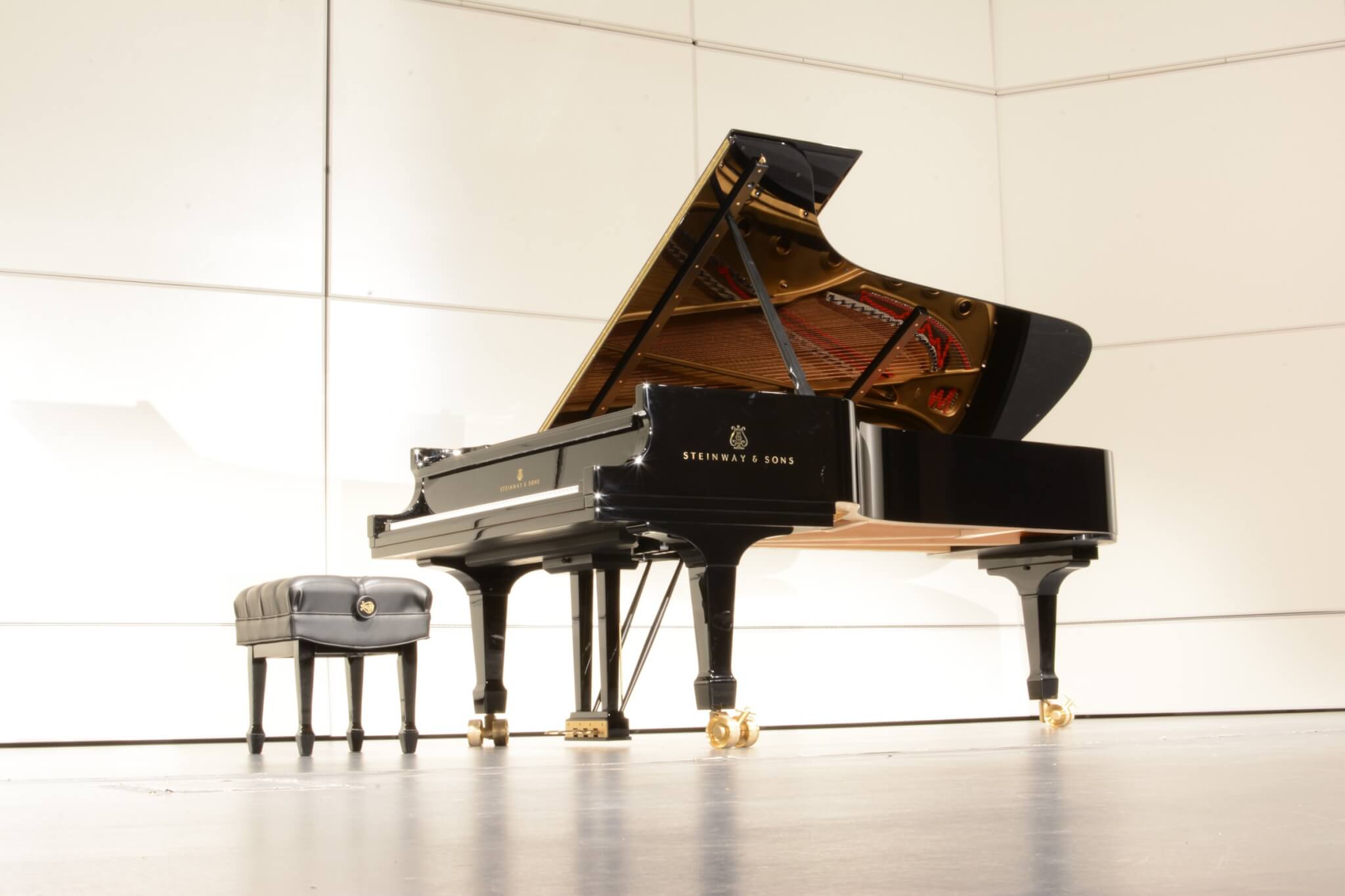 Steinway D Concert Grand piano in Loeb Playhouse