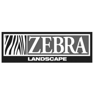 Zebra Landscape