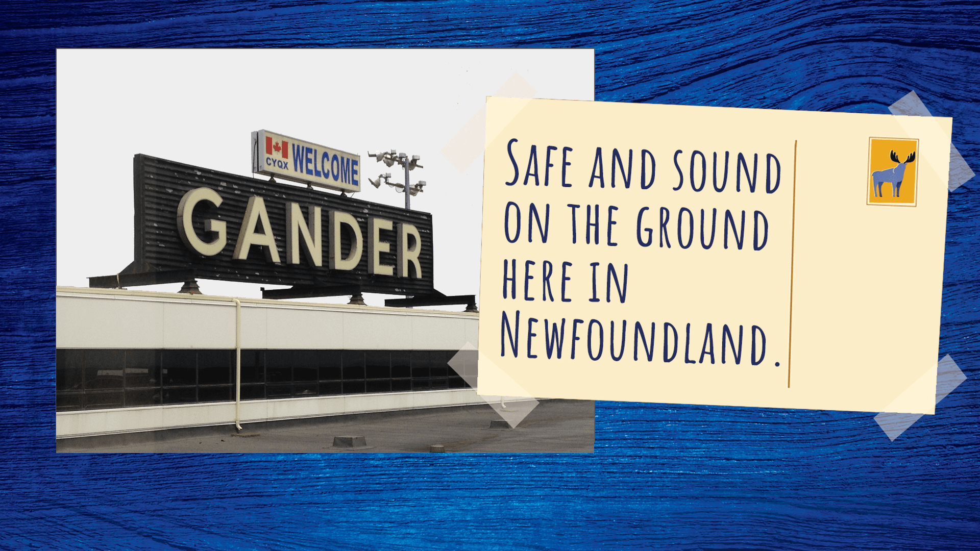 Safe and sound on the ground in Gander, Newfoundland