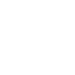 T-Bird Design Services