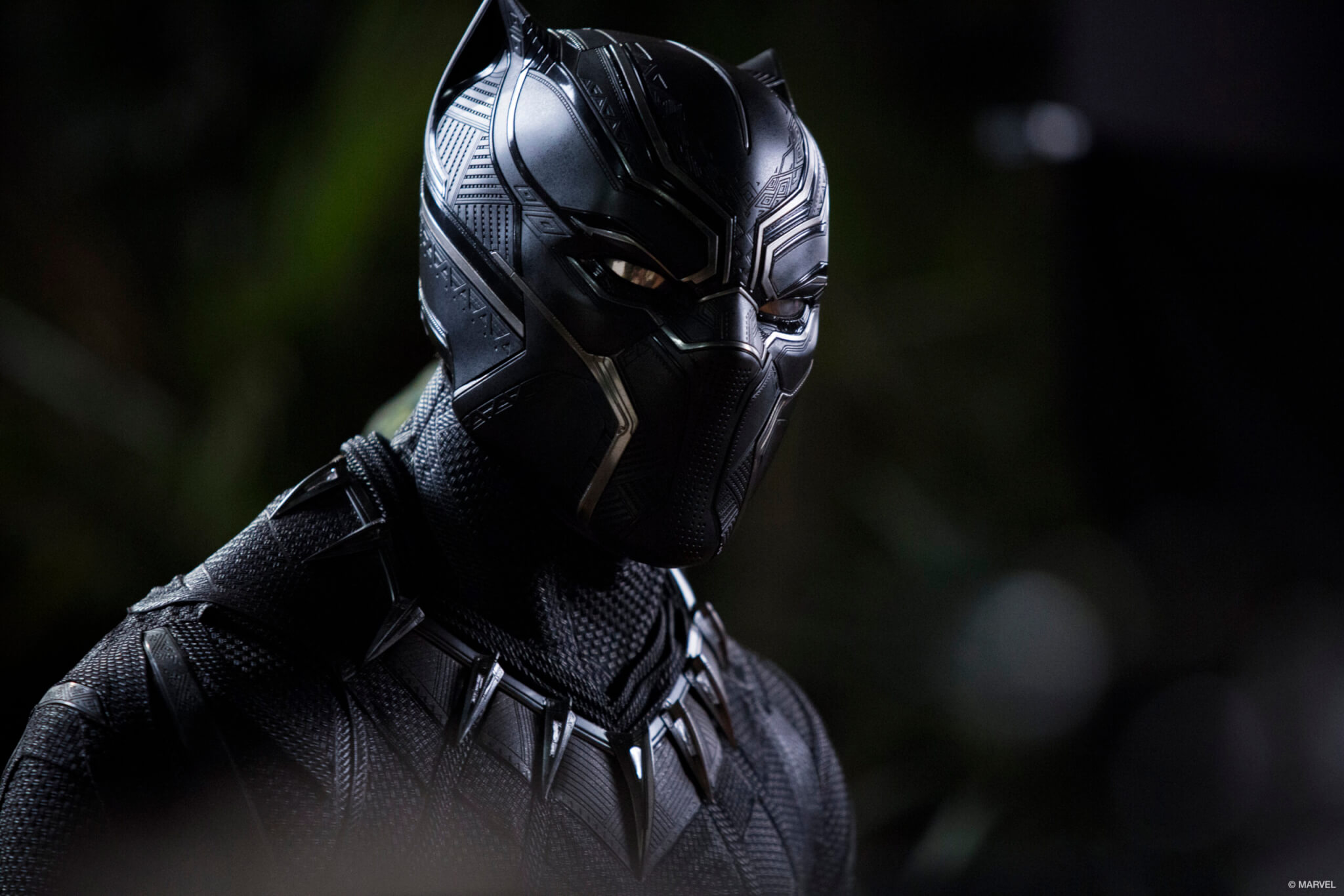 A person dressed in a Black Panther superhero suit with silver accents and a stylized mask stands against a dark, blurred background, channeling the power and presence of the hero as if ready for a Live In Concert appearance.