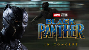Close-up of Black Panther in costume on the left, with another image of him in action blurred in the background. Bold text reads Marvel Studios' Black Panther Live In Concert.